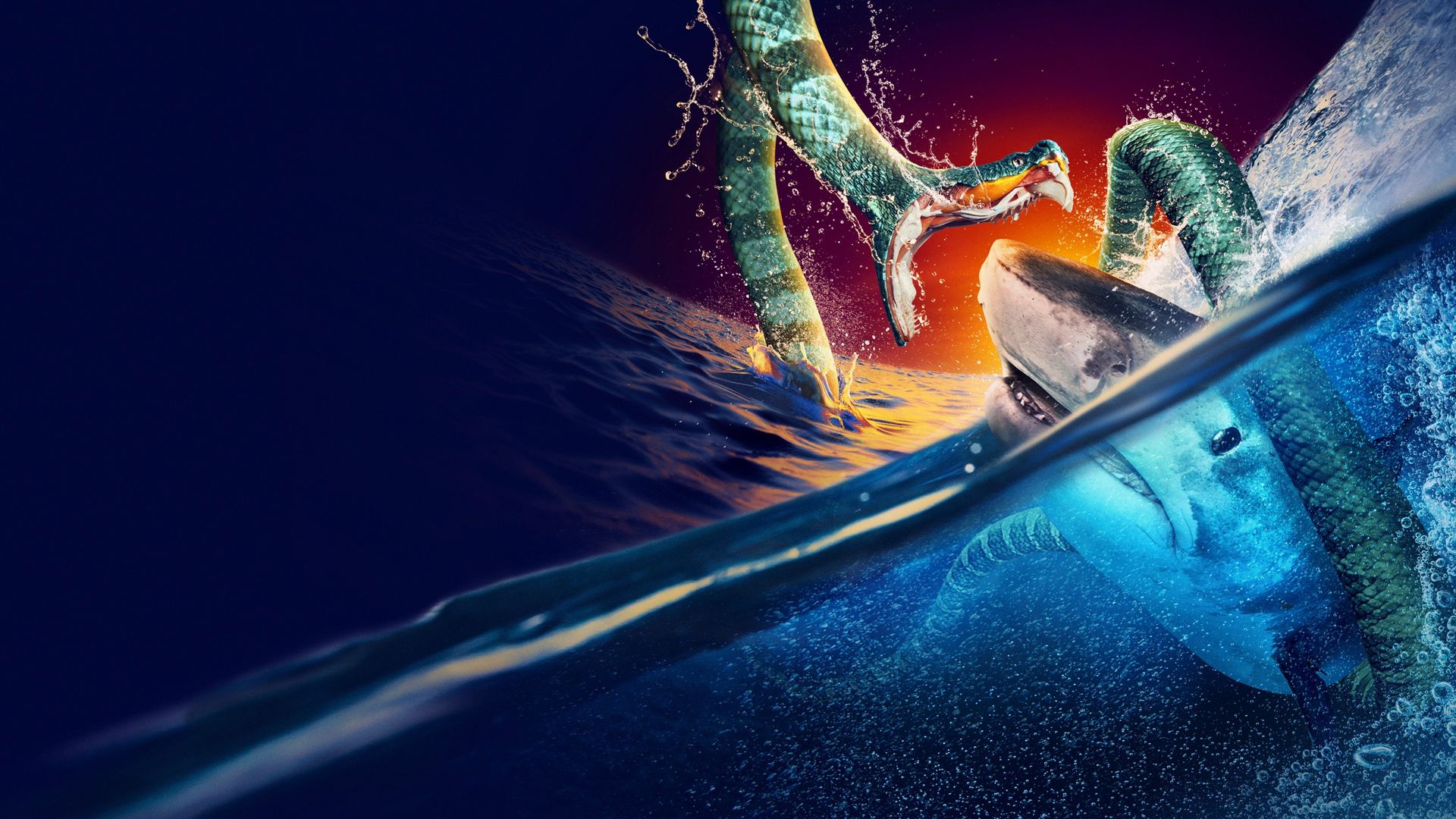 Shark vs. Snake: Battle of the Bites background