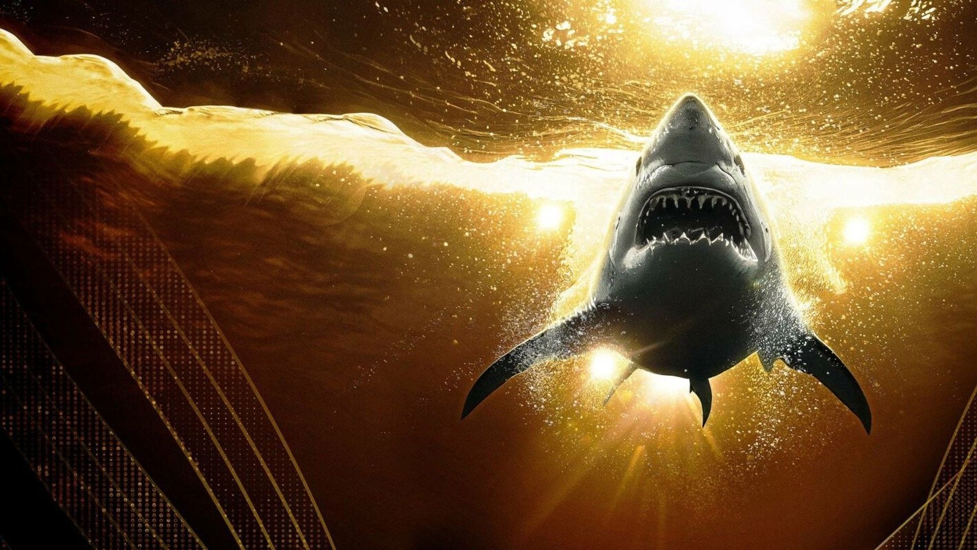 Shark Week: Off the Hook background