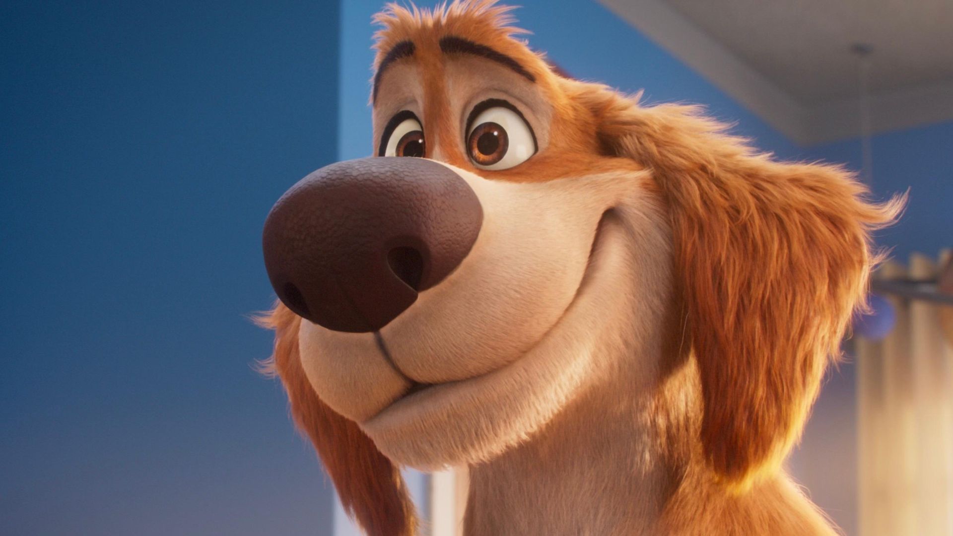 Charlie the Wonderdog background