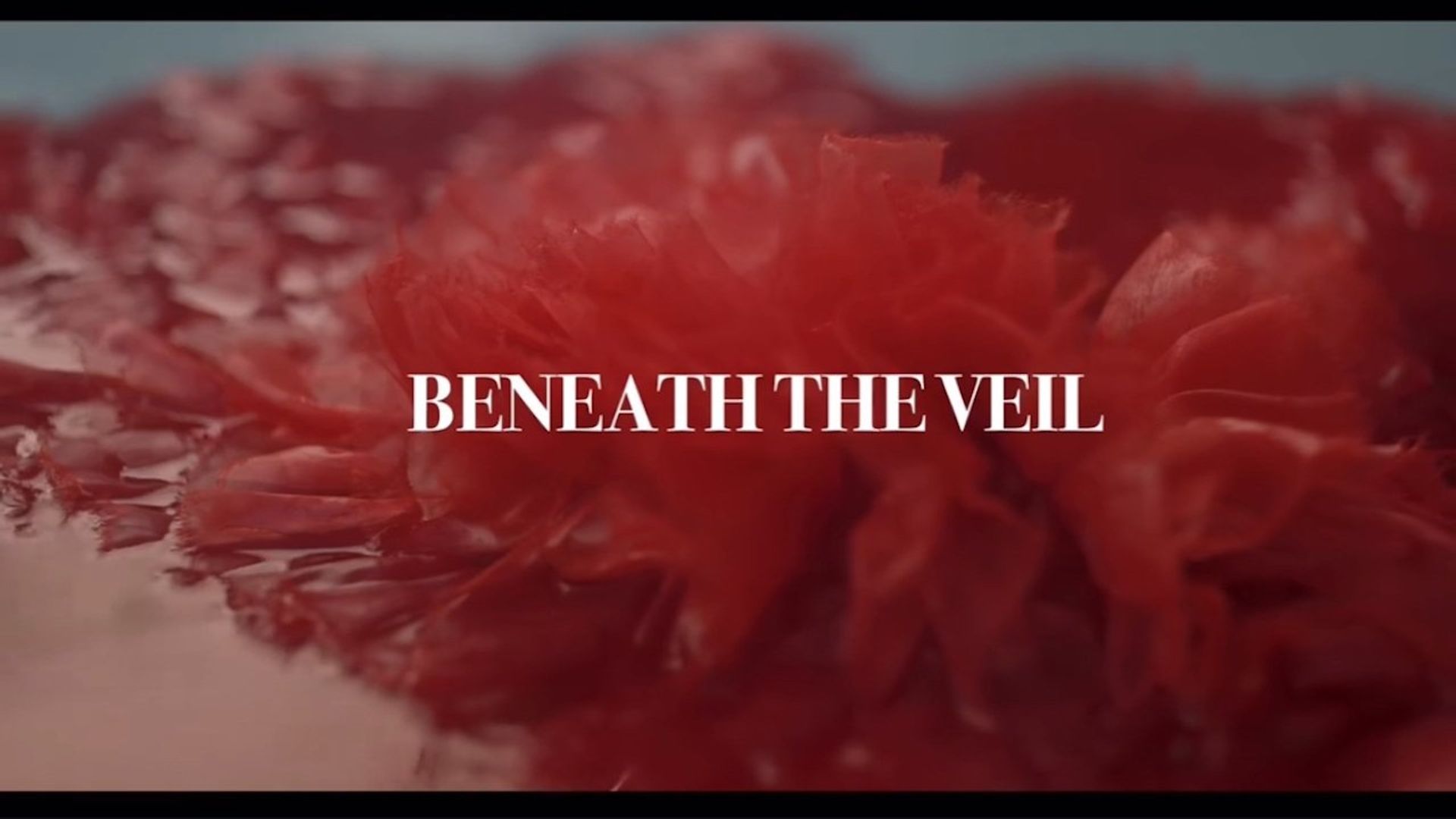 Beneath the Veil background