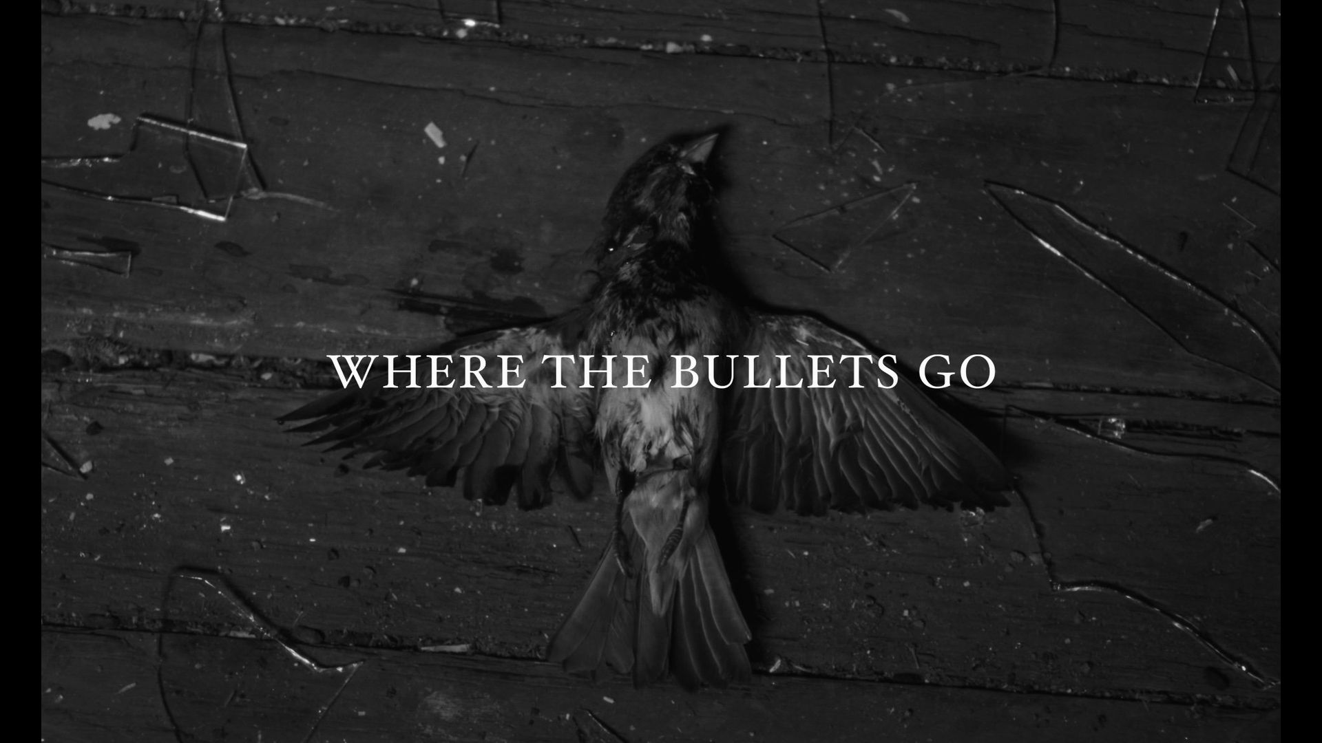 Where the Bullets Go background