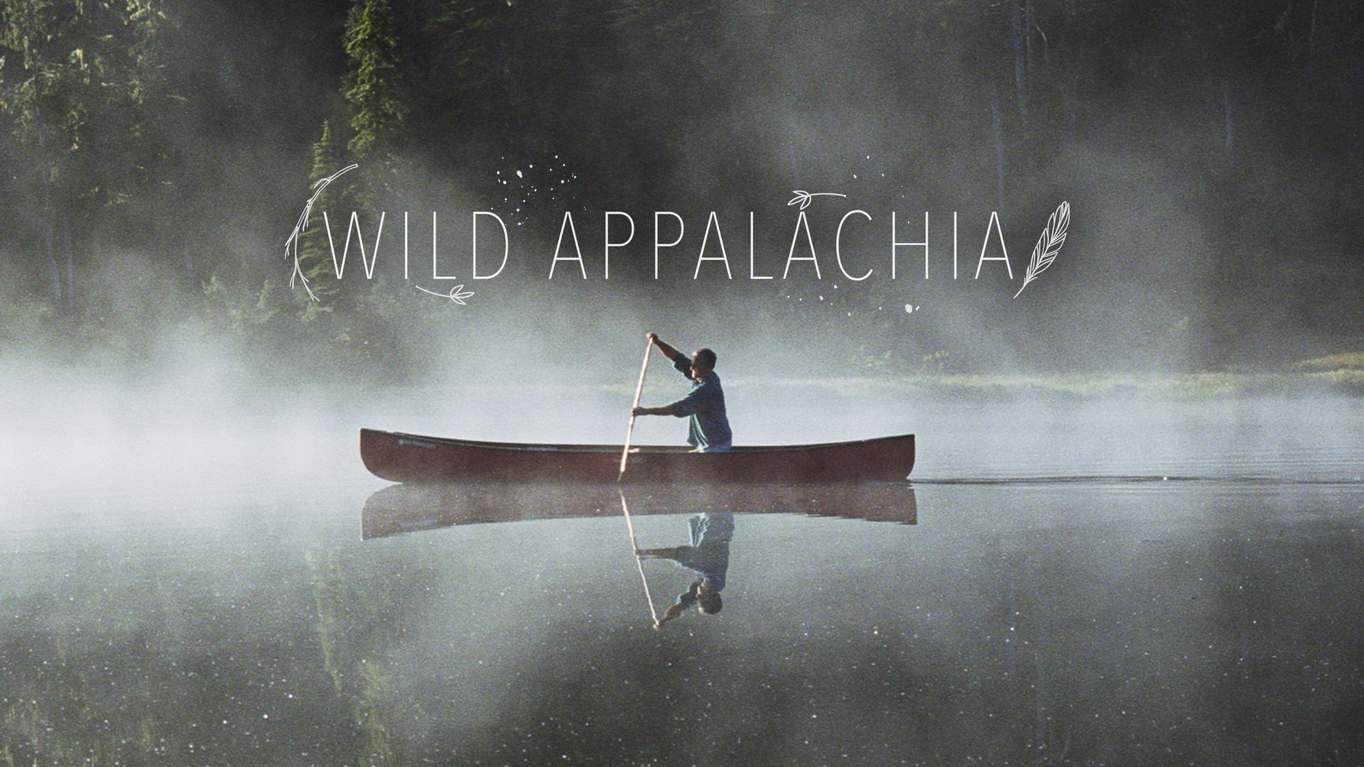 Wild Appalachia background
