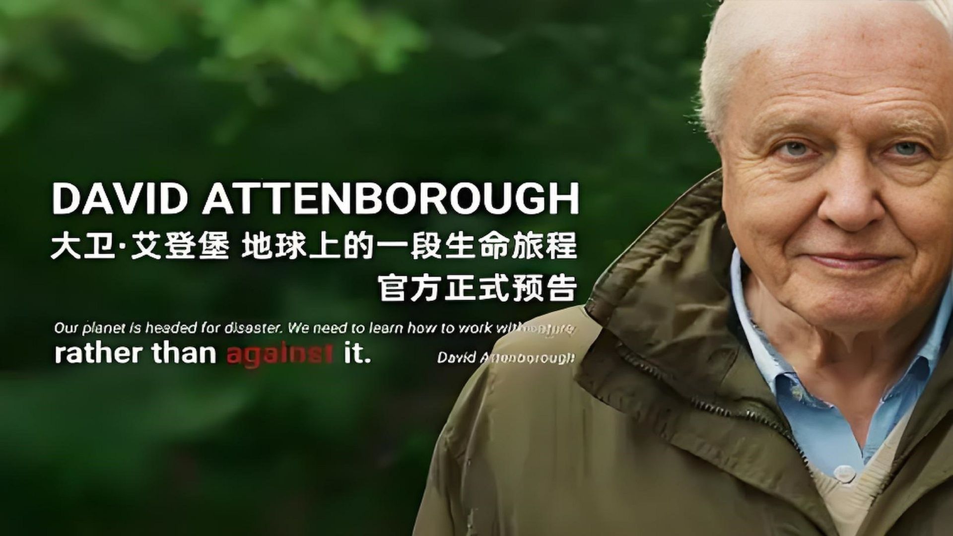 David Attenborough: A Life on Earth background