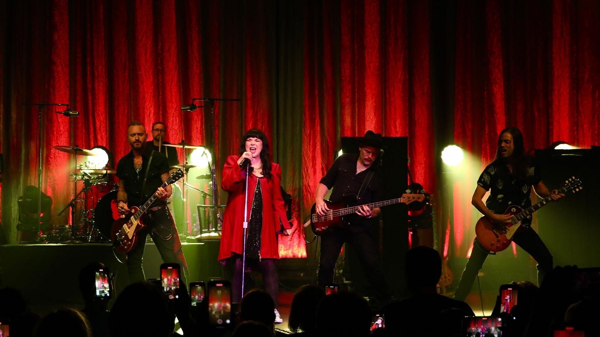 Ann Wilson & Tripsitter: Live in Concert background