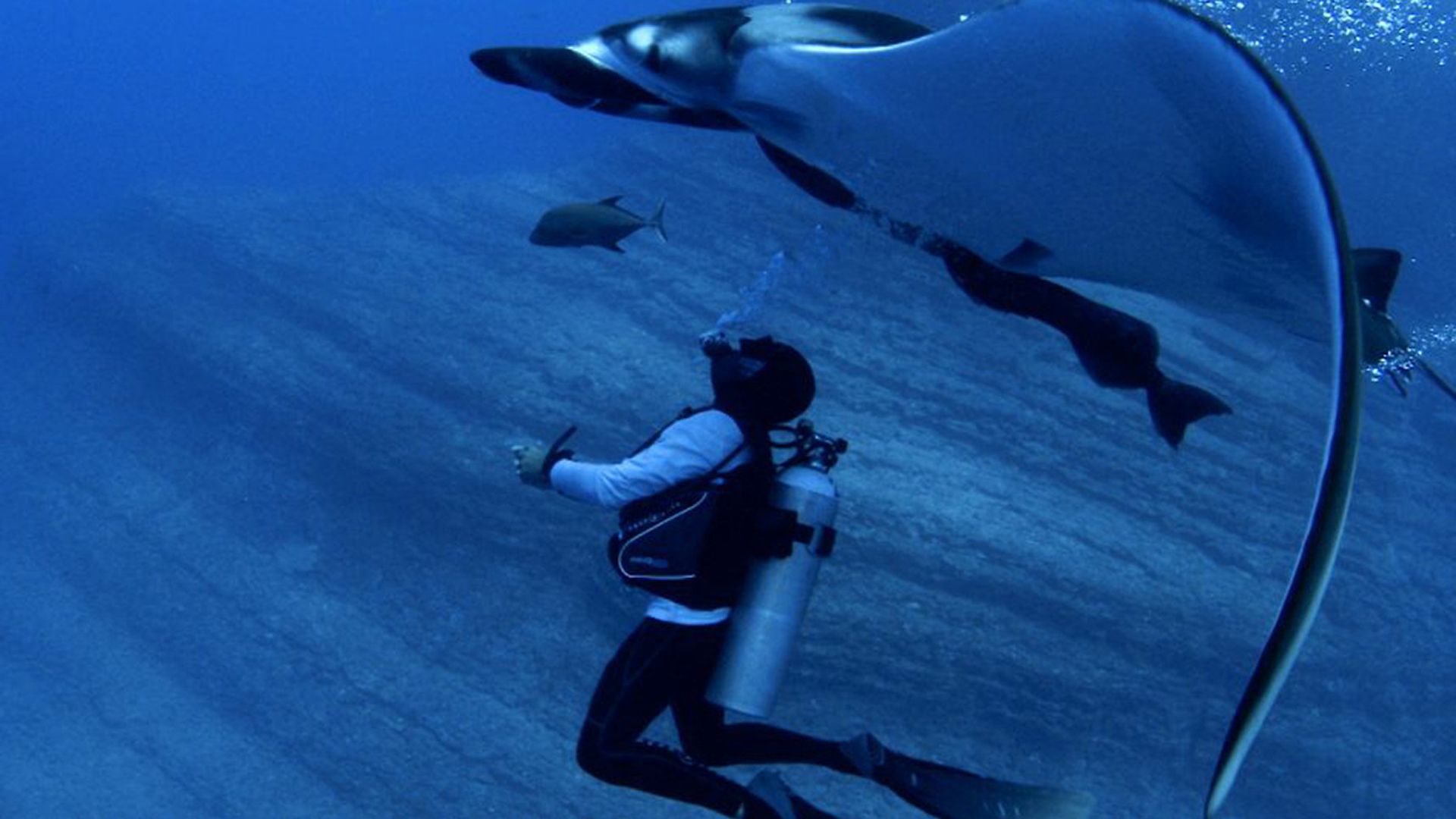 Alien Contact background