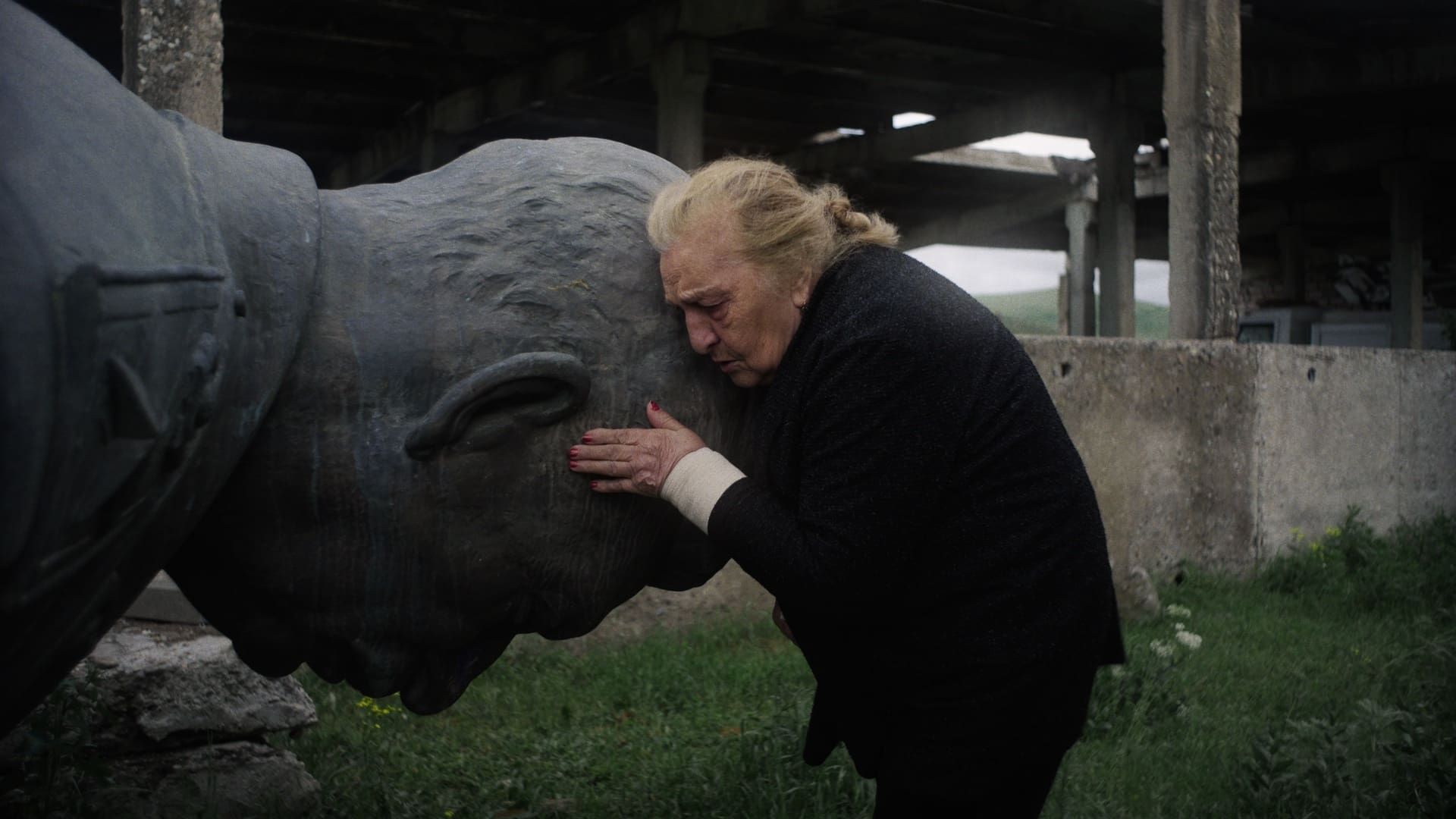 The Real Housewives of Sherp a Derp background