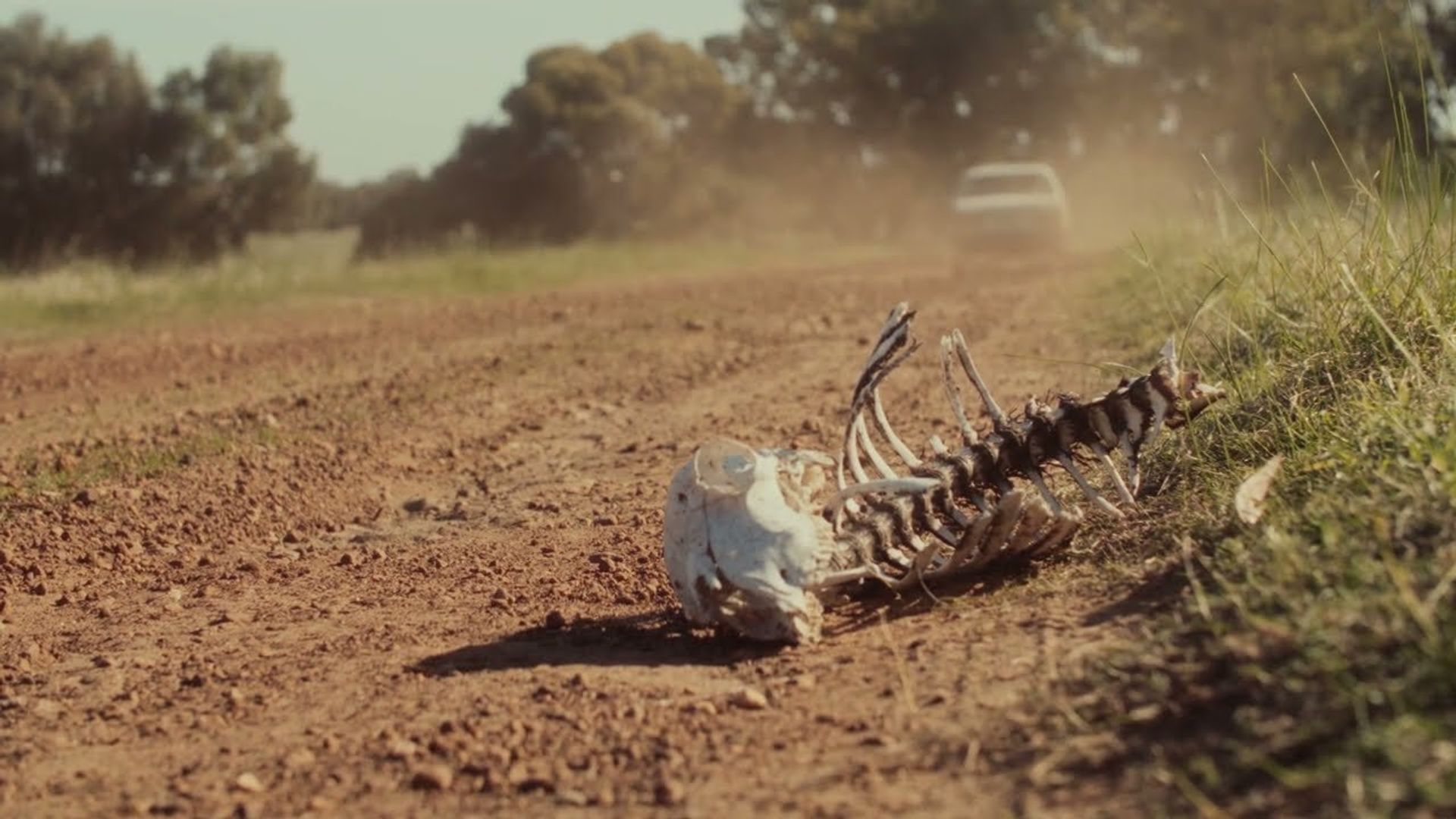 Don't Talk About the Monster on the Roof background