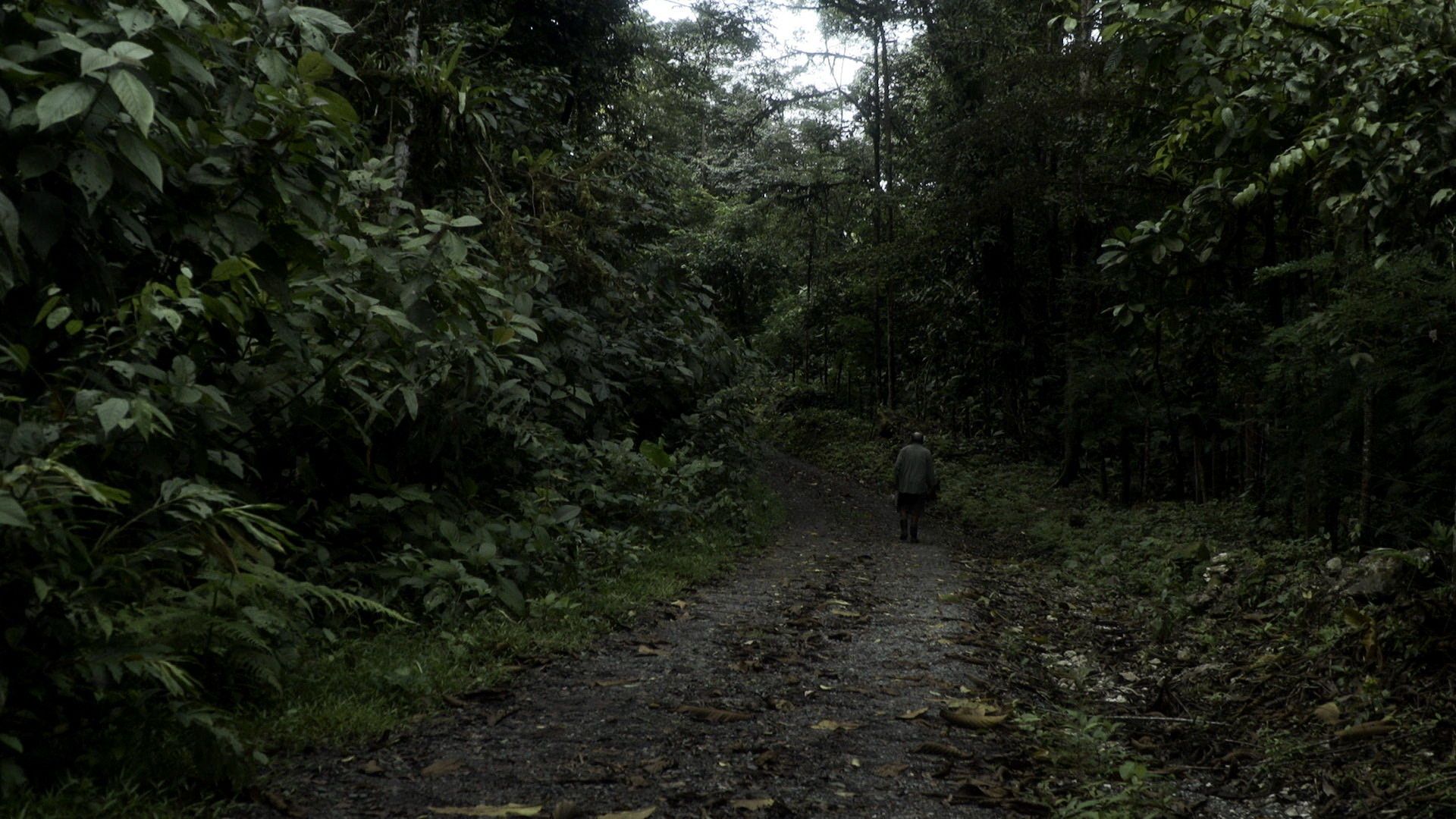 Cielo Roto background