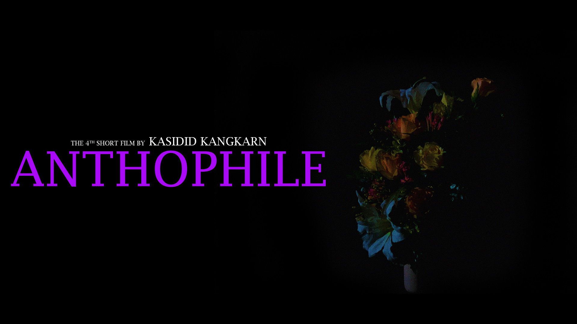 Anthophile background