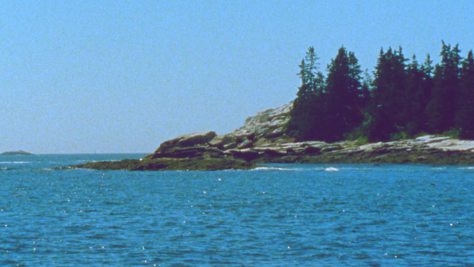 The Seashore background