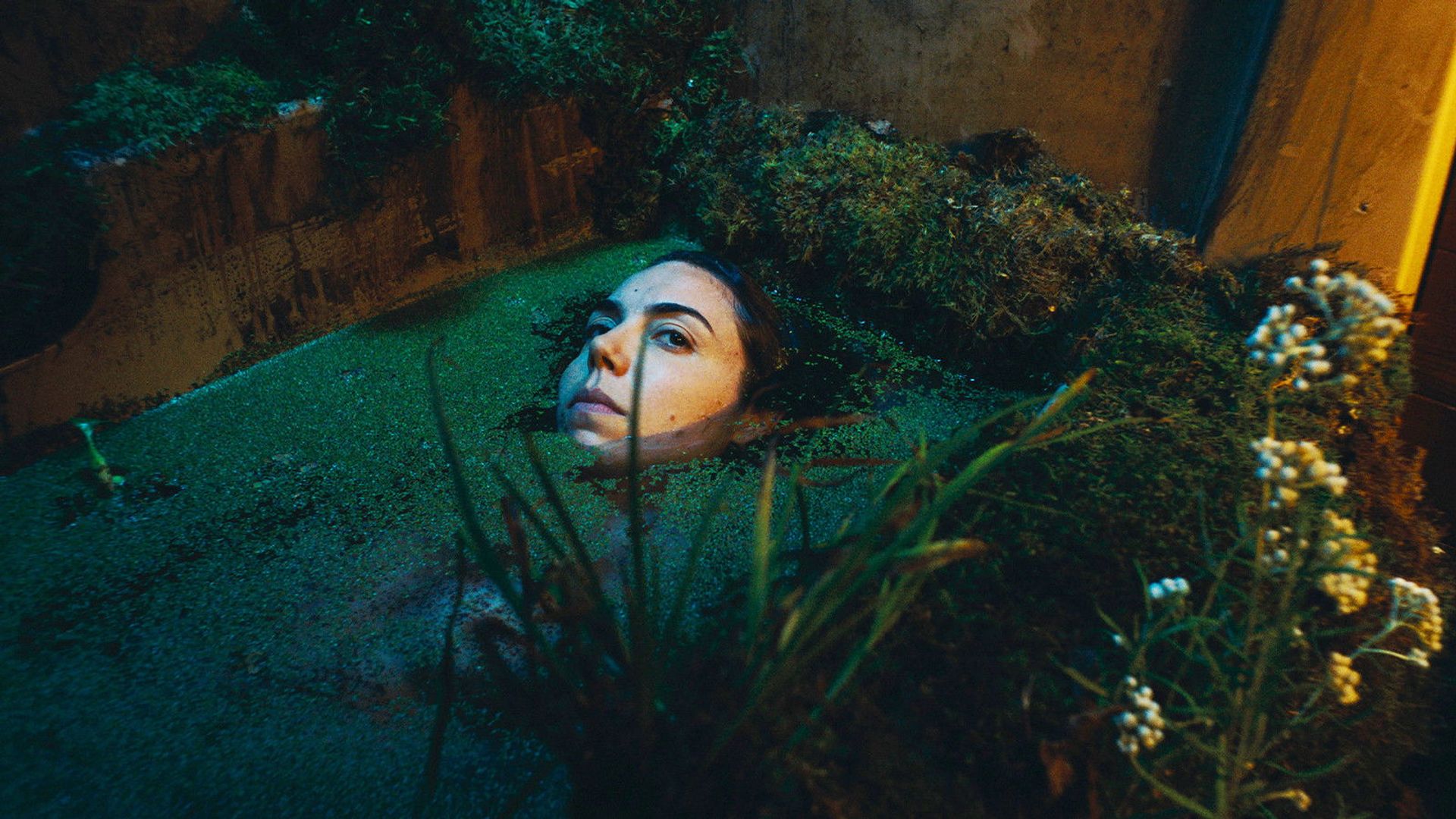 I Think I'd Like to Stay background