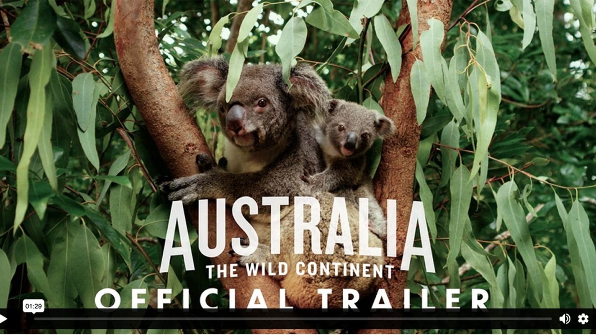Australia: The Wild Continent background