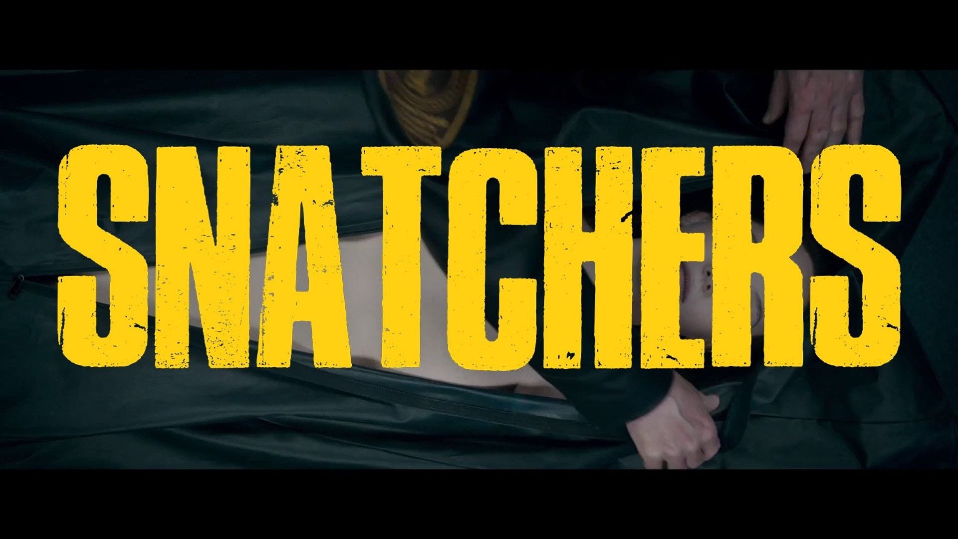 Snatchers background