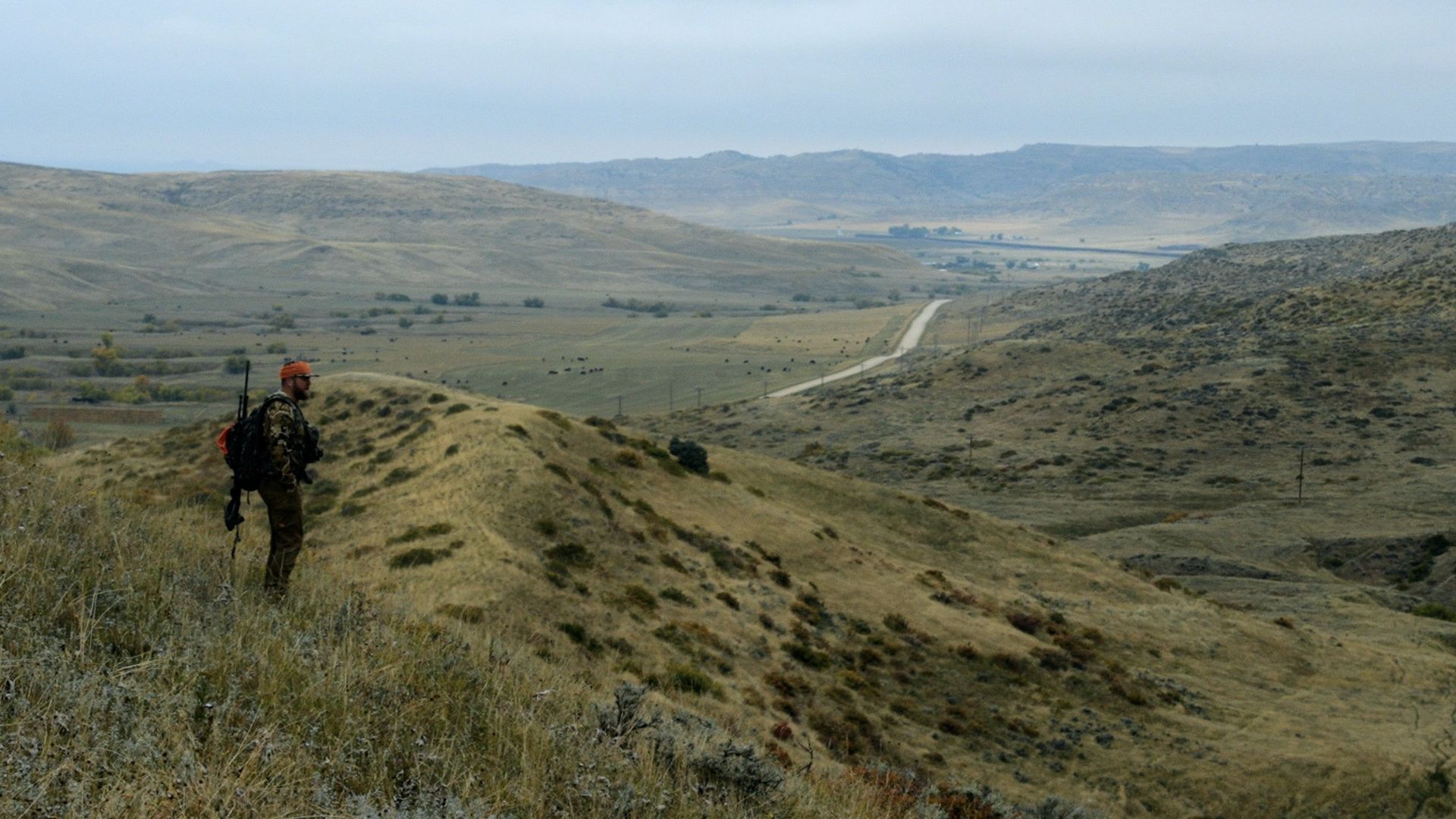 Hunting Footnotes background