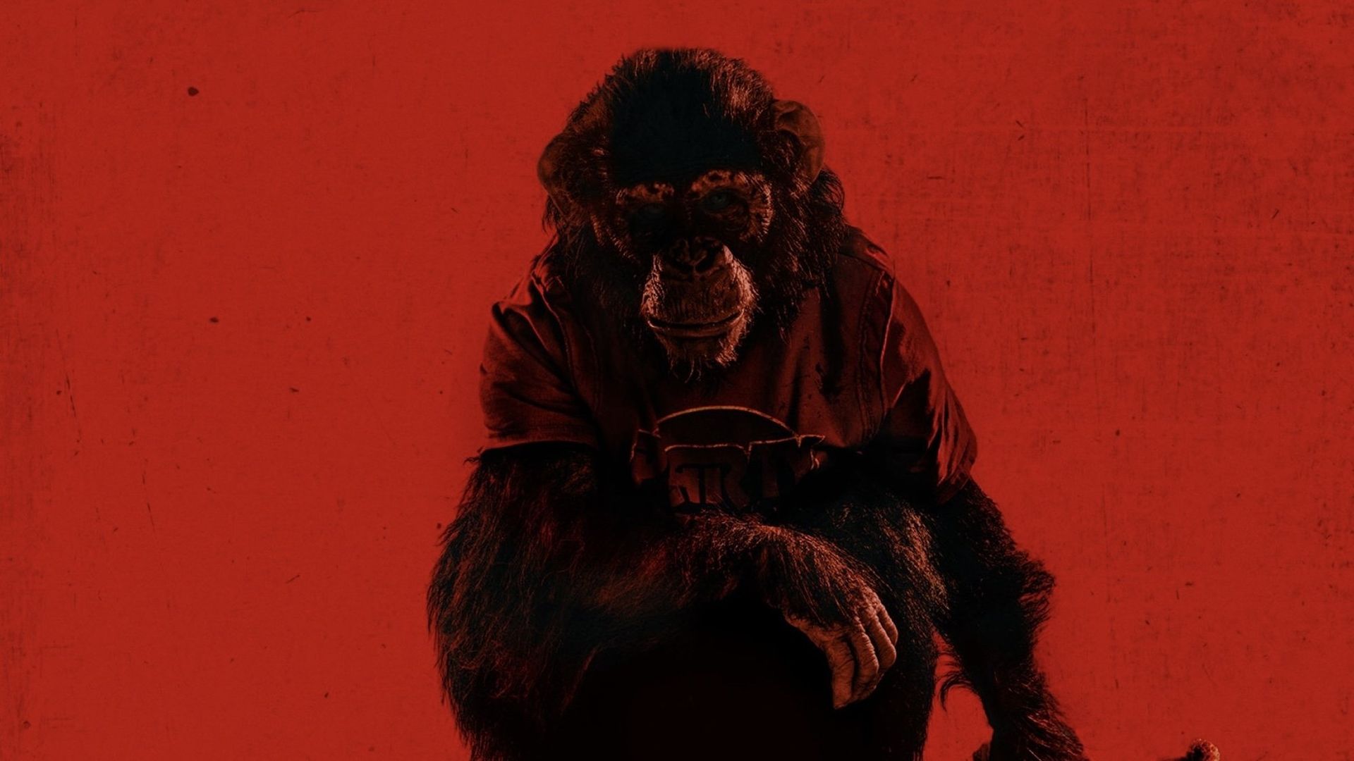 Primate background