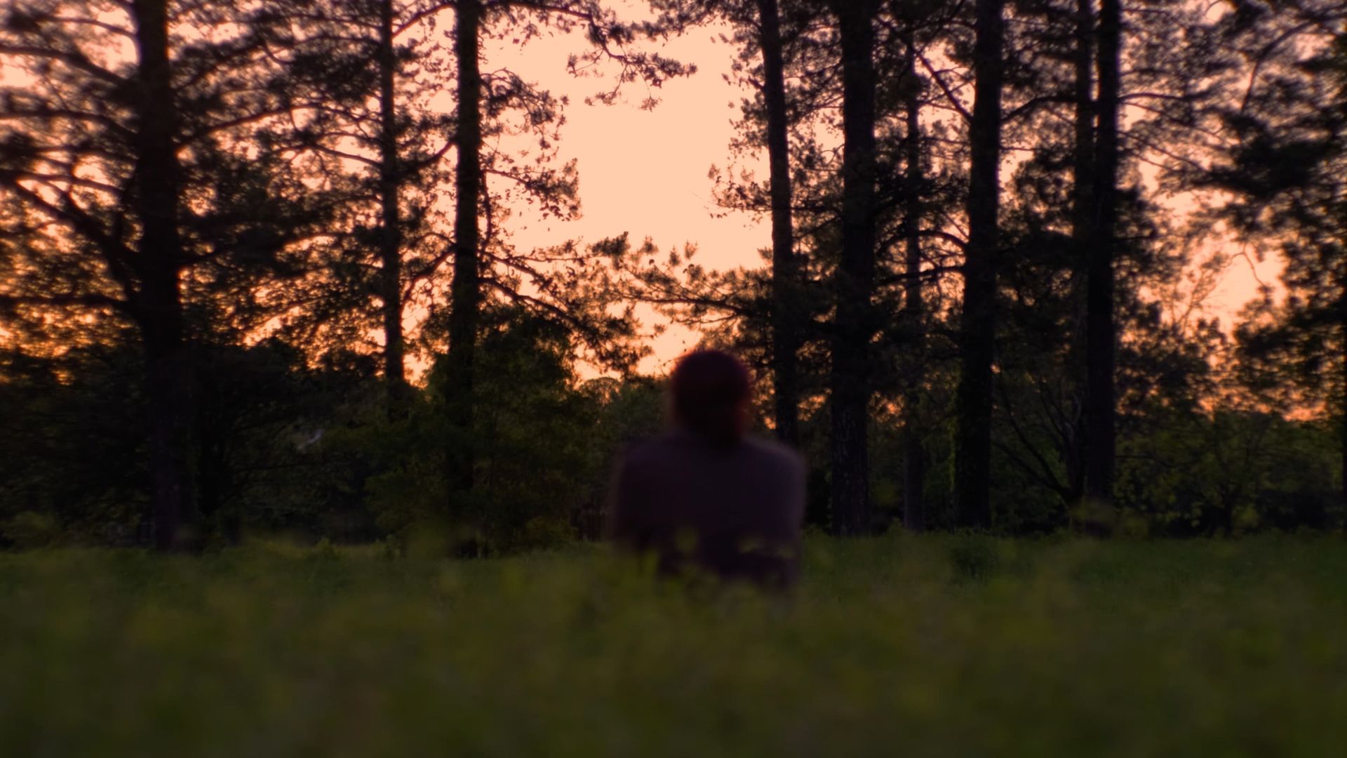 Dying to Put It Into Words background