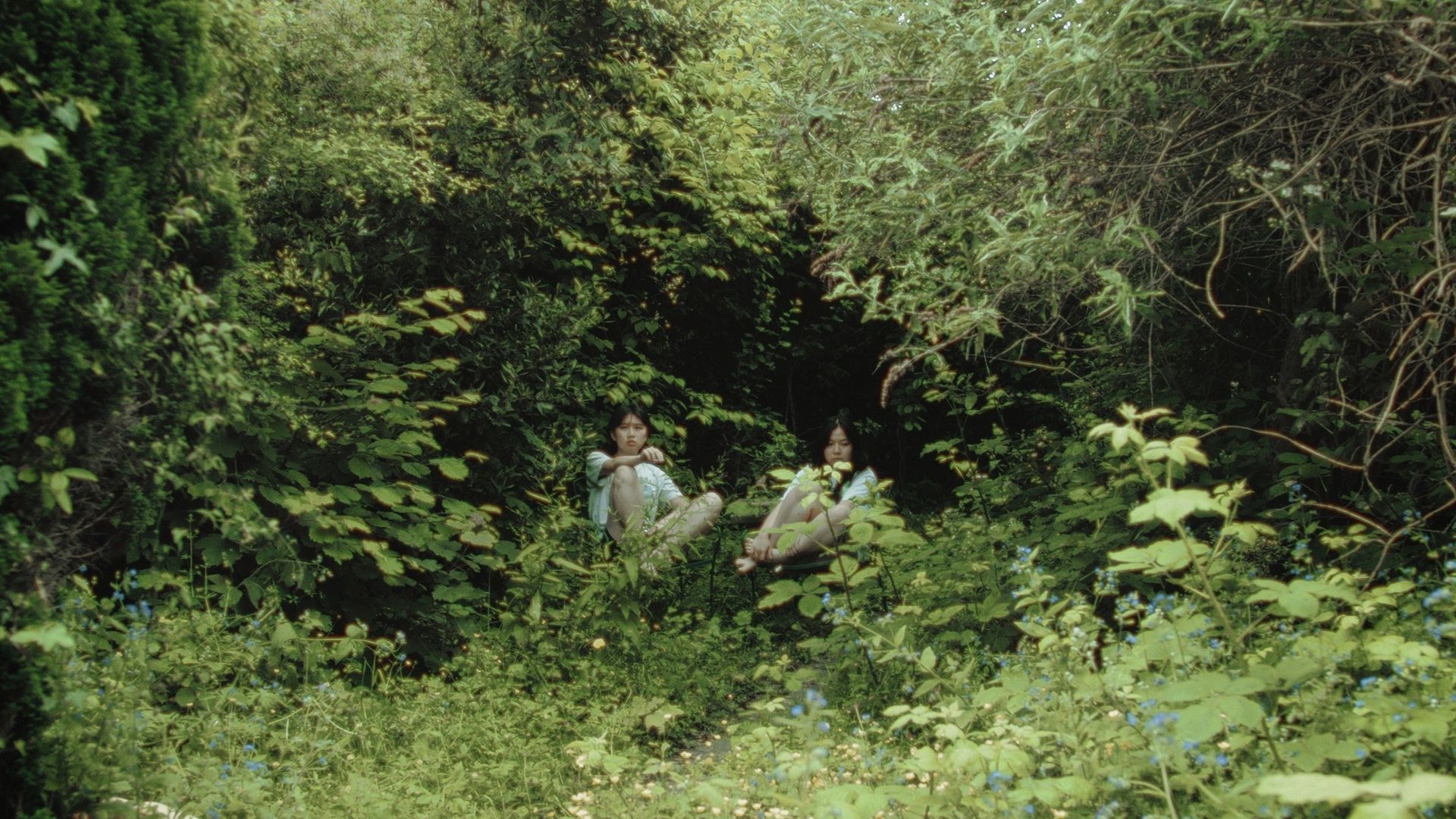 My Sister is a Butterfly background