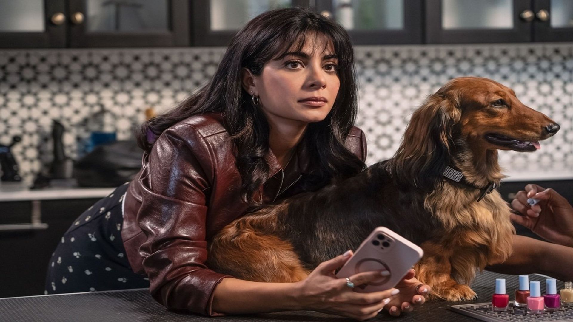 Paws in the City background