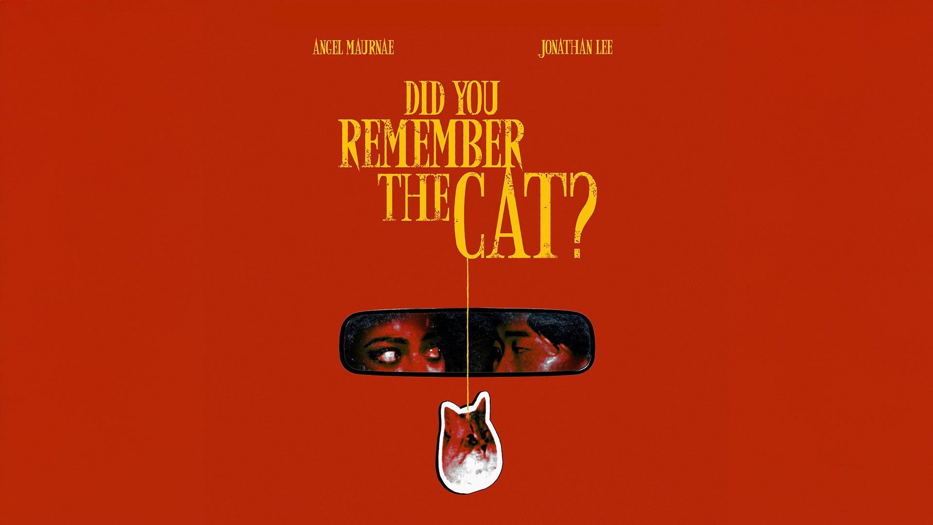 Did You Remember the Cat background