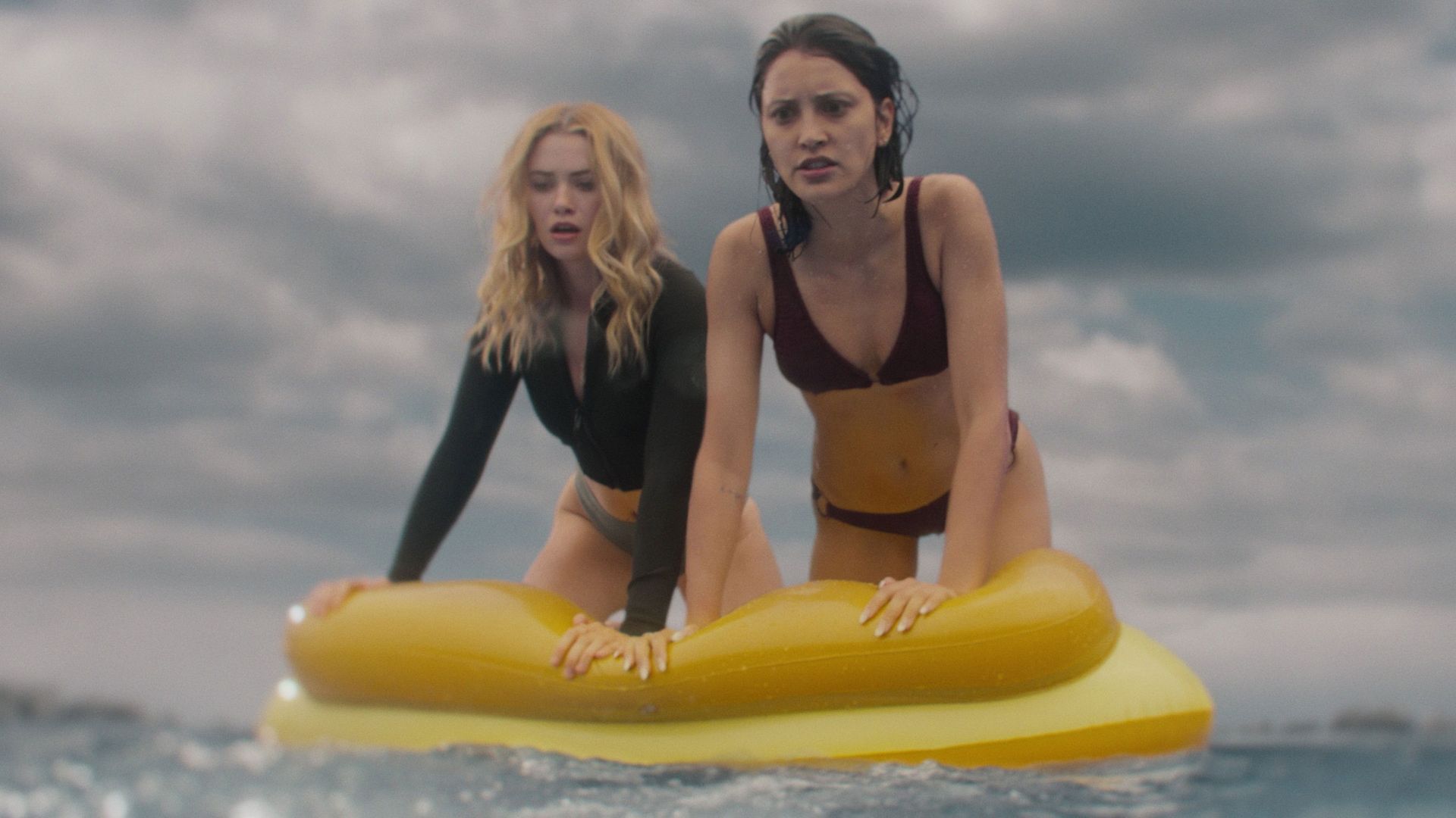 Killer Whale background