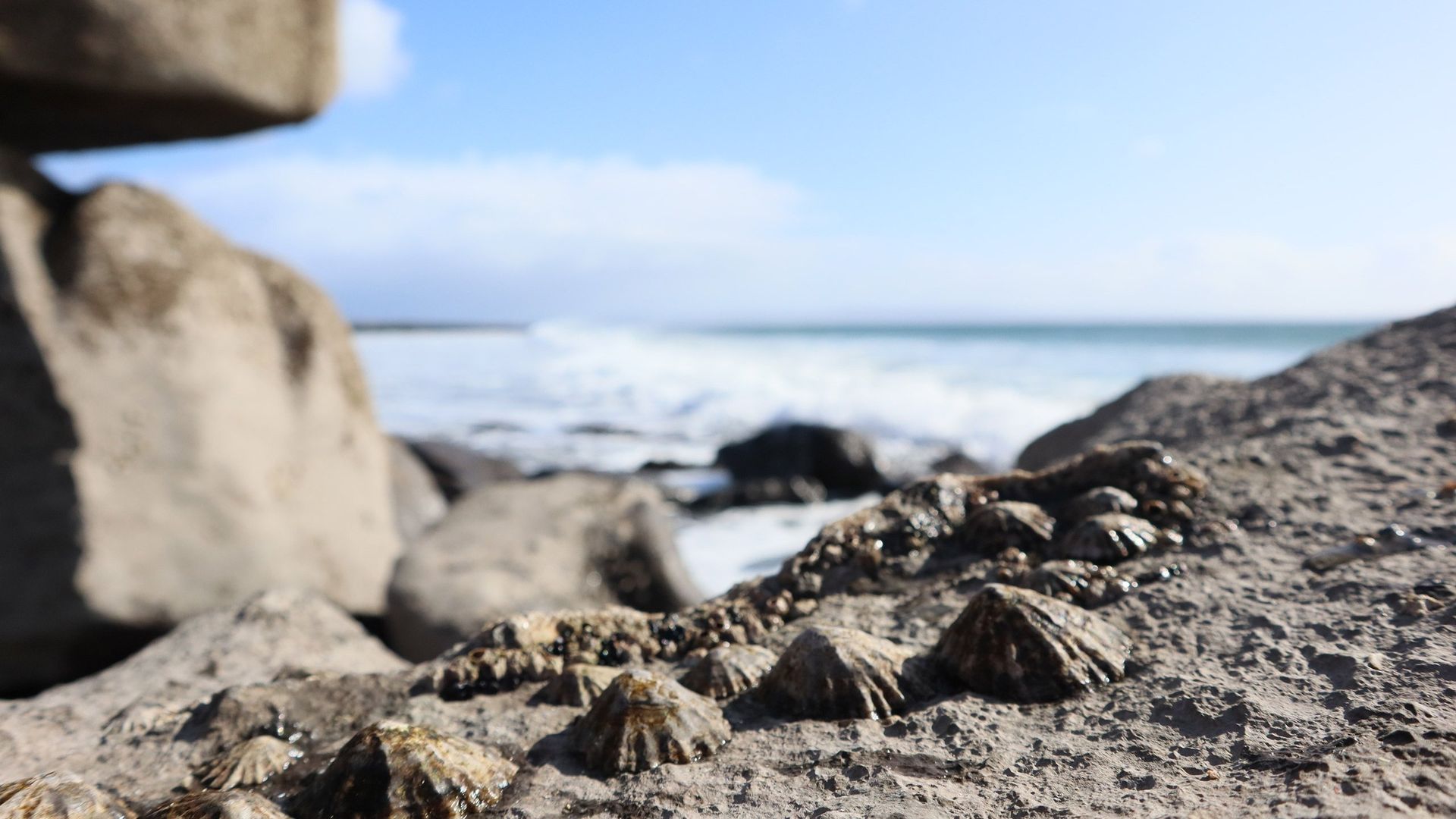 Ag Lorg Hy-Brasil background