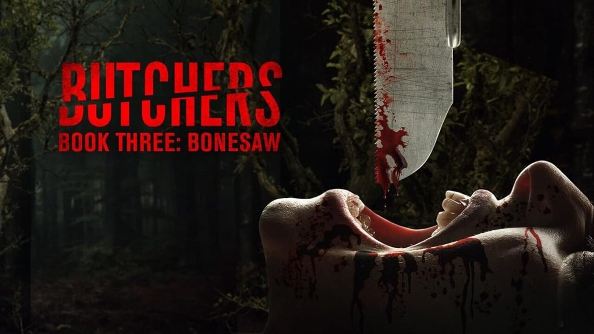 Butchers Book Three: Bonesaw background