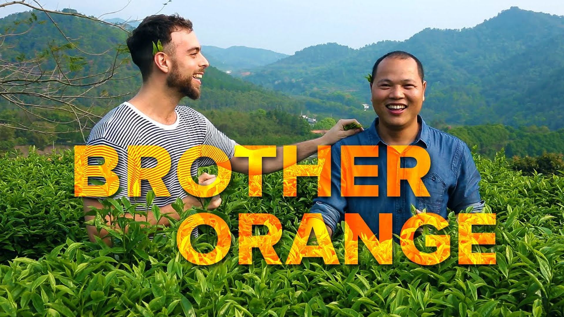 Brother Orange background