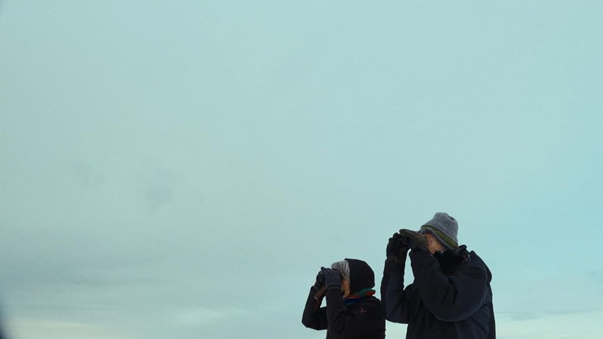 The Last Observers background