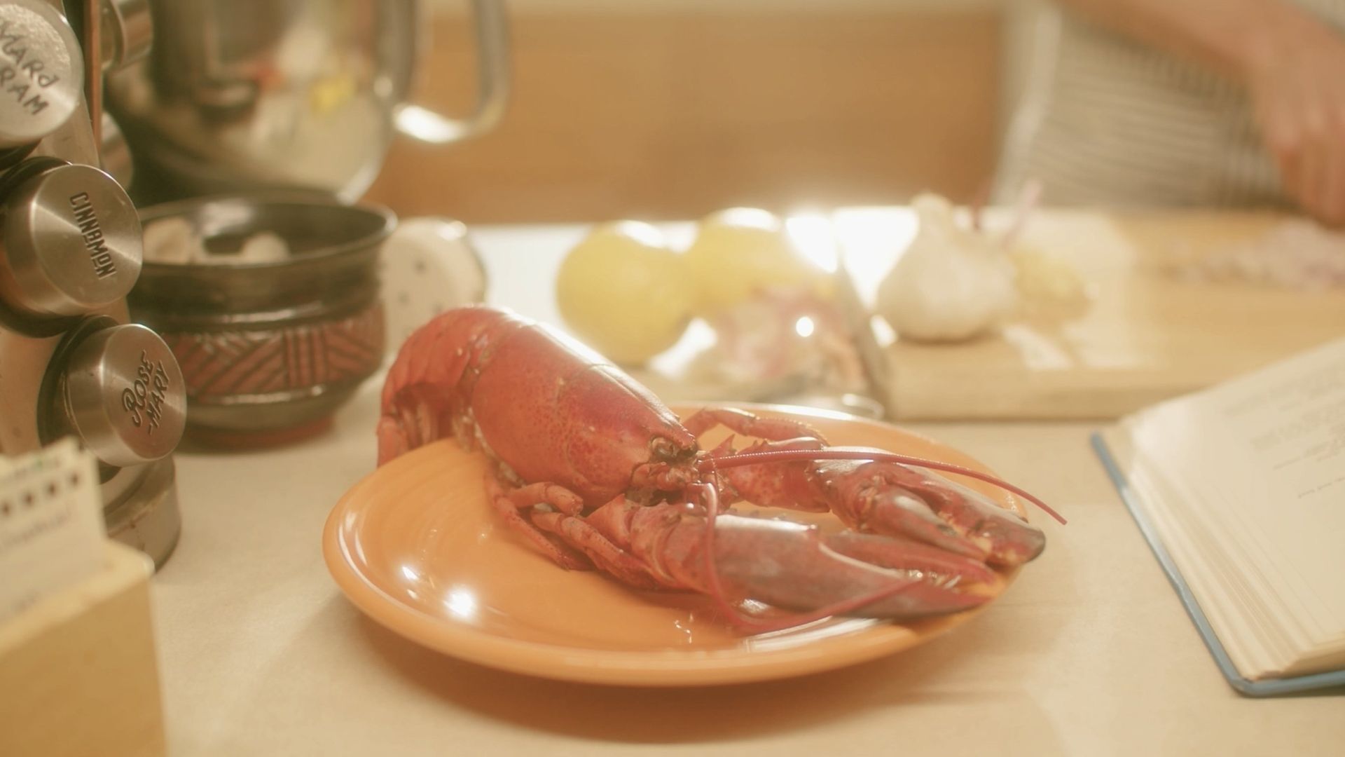 Shellfish Knish background