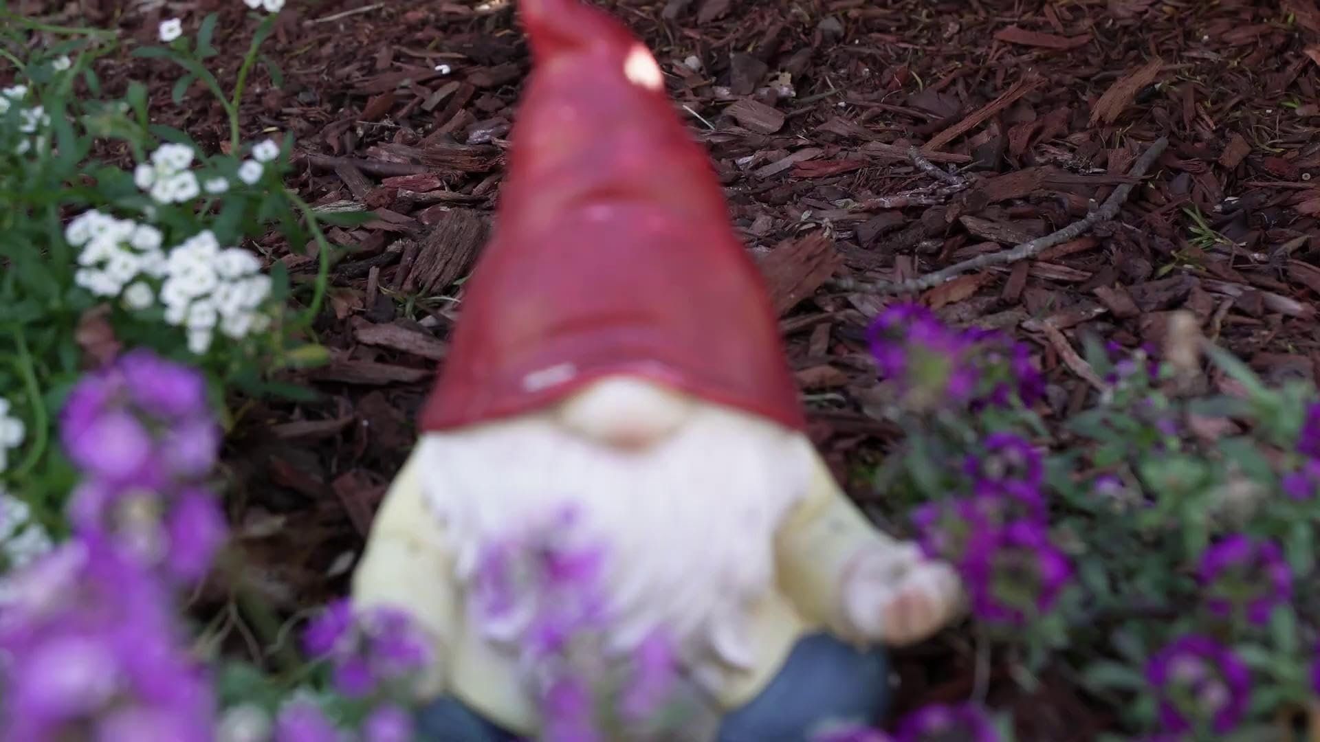 Deadly Domicile background