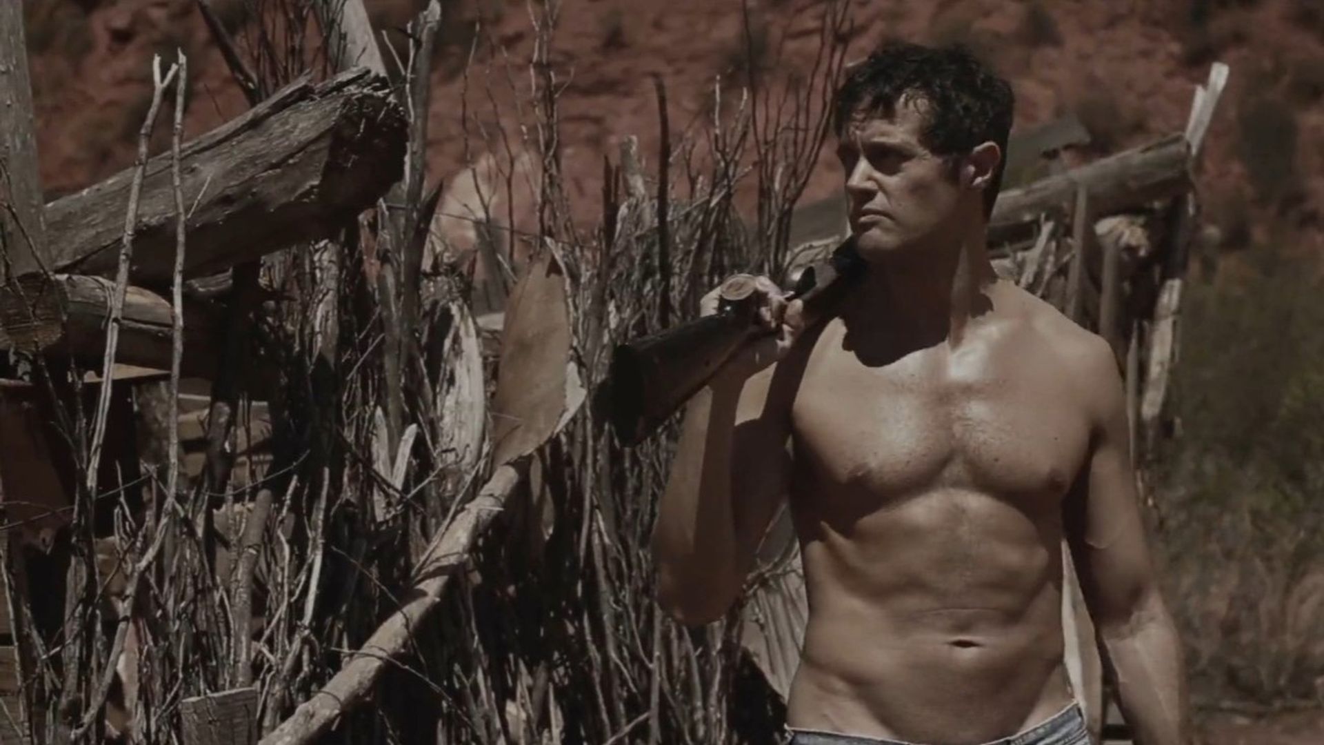 Still Life background