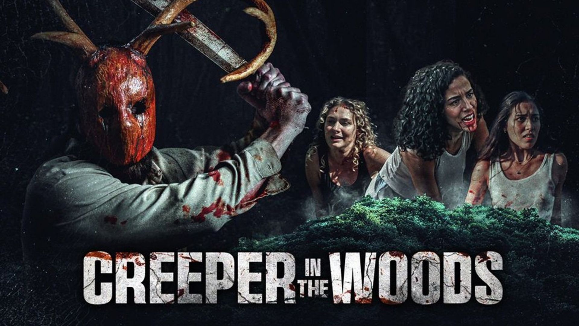 Creeper in the Woods background