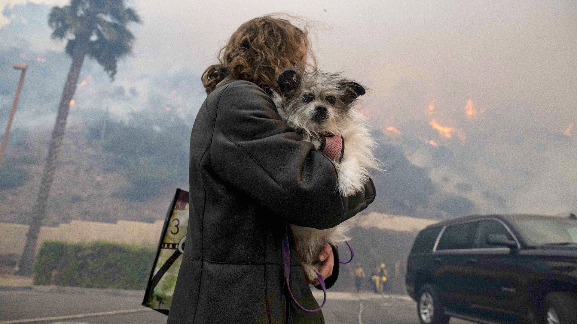 Inferno: LA on Fire background