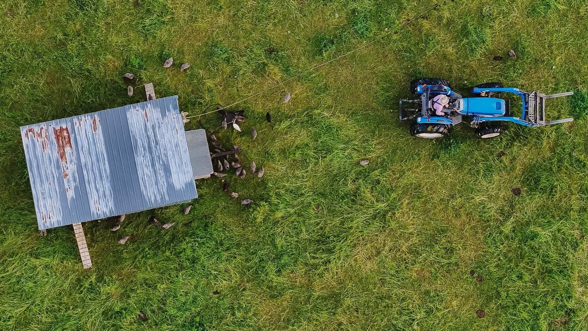 The Lunatic Farmer background