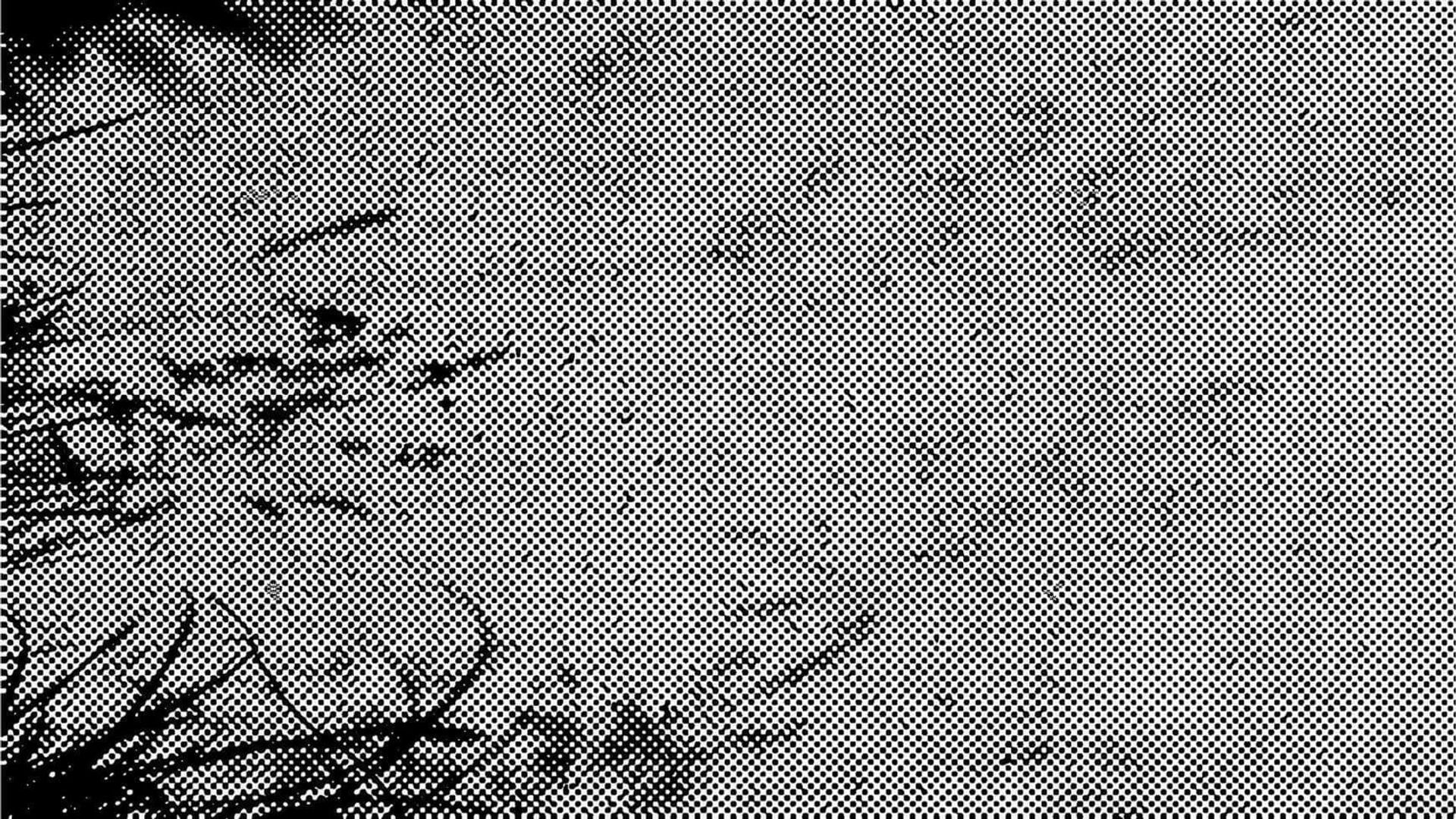 The Switching Division background