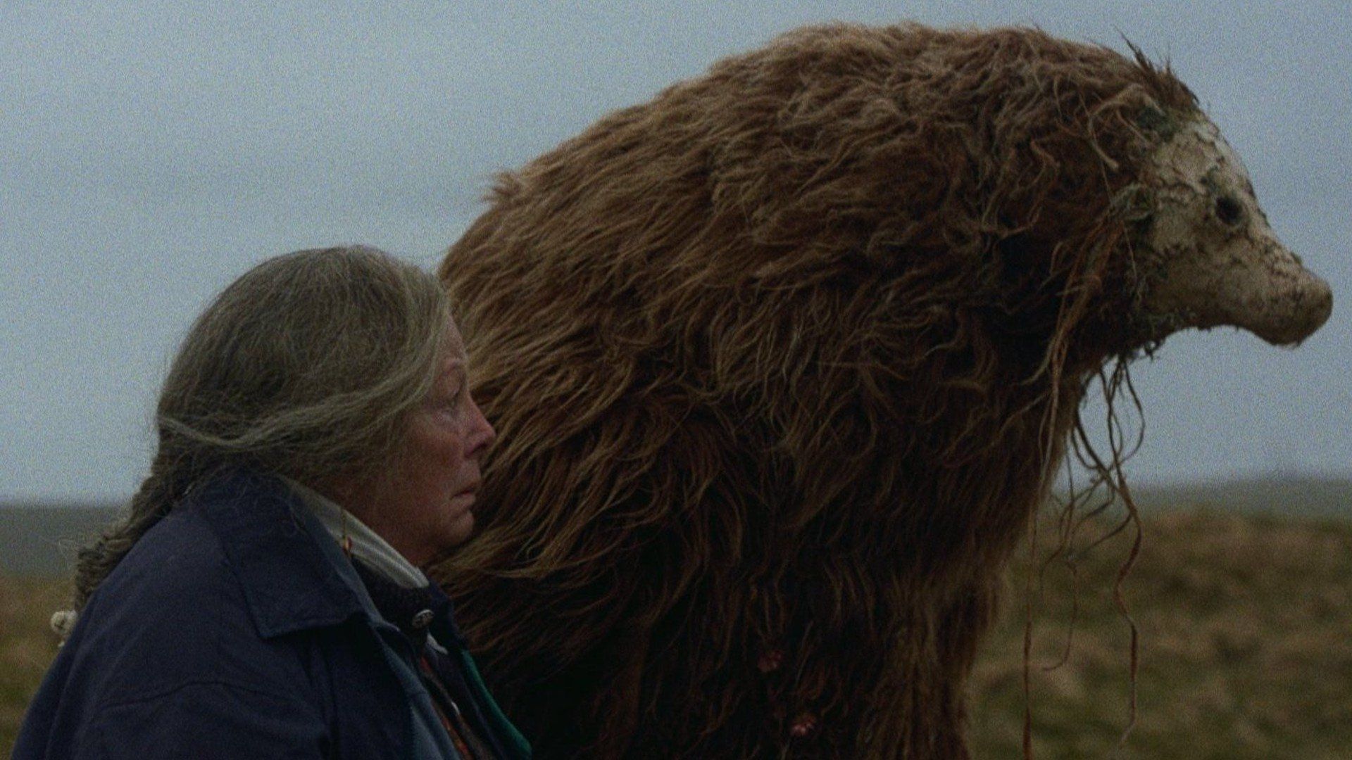 A Bear Remembers background