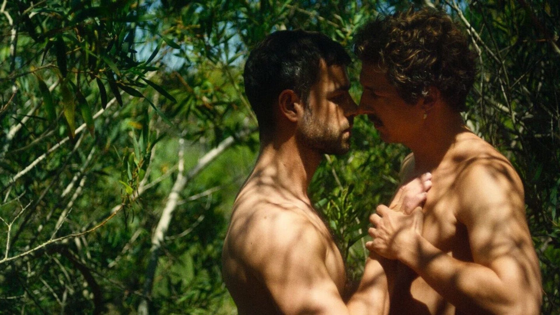 Arriba Beach background