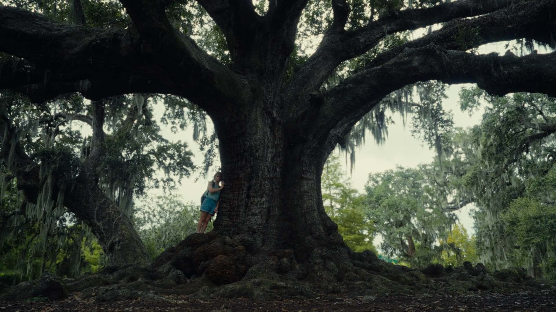 Everywhere I Look background