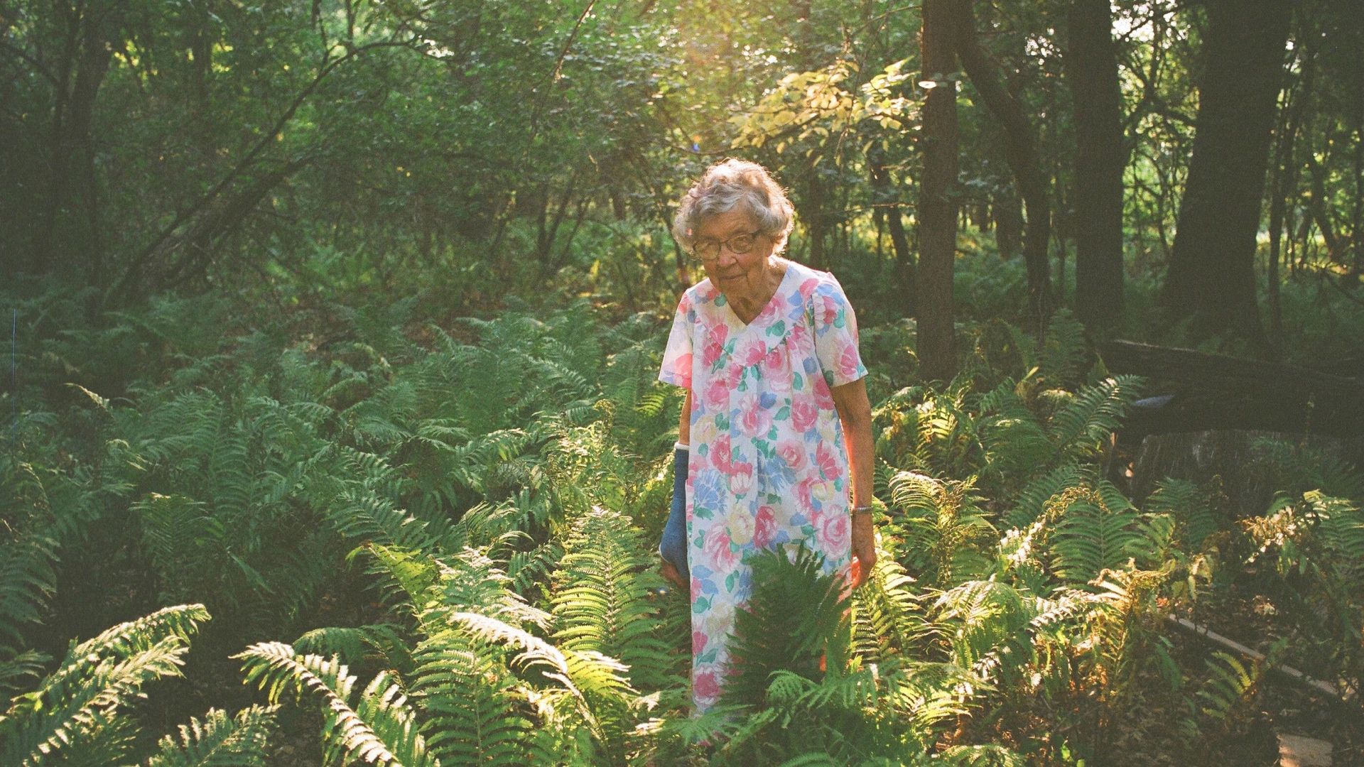 Agatha's Almanac background