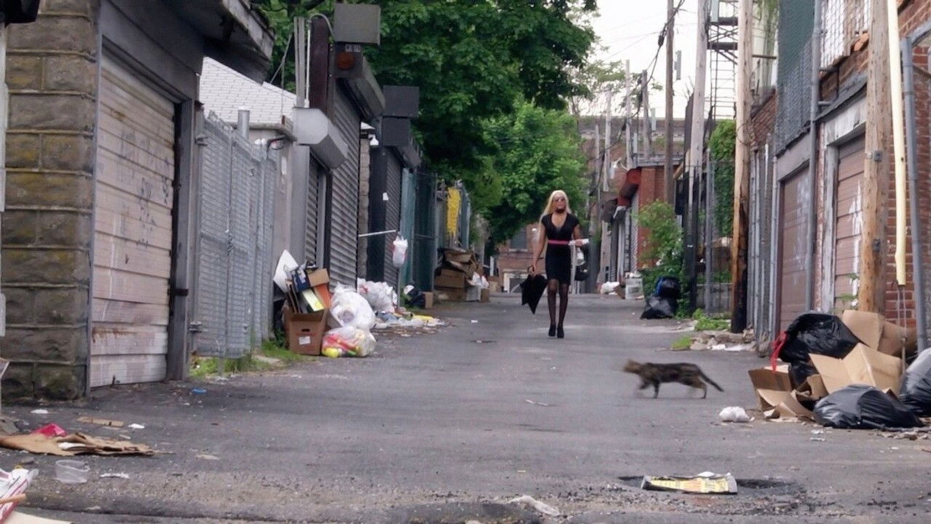 Becoming More Visible background