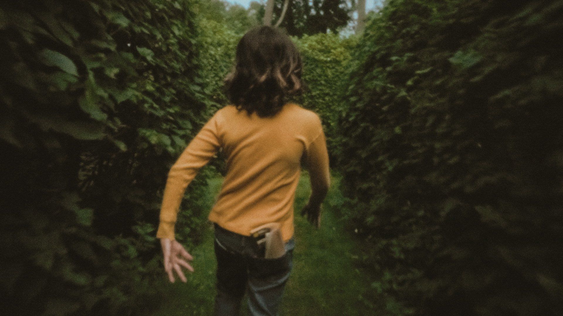 In and Out of the Hornbeam Maze background