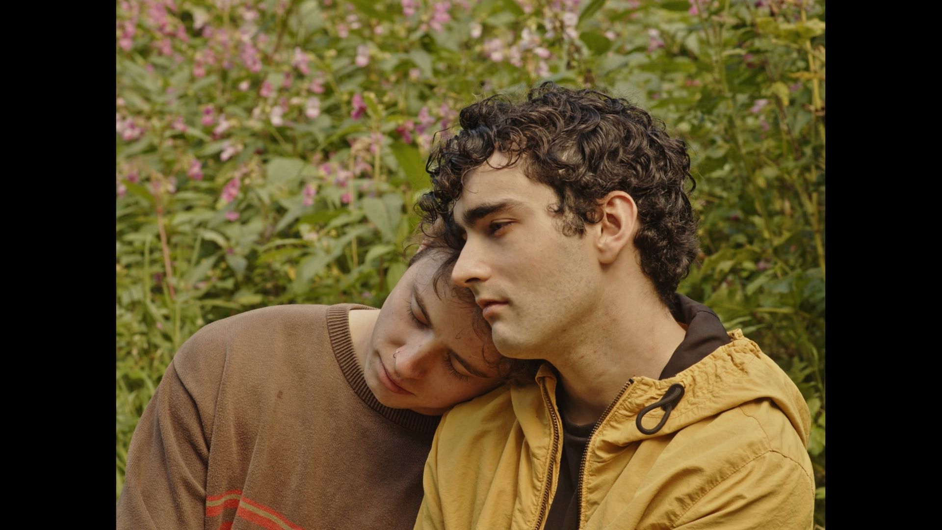 What You Need background