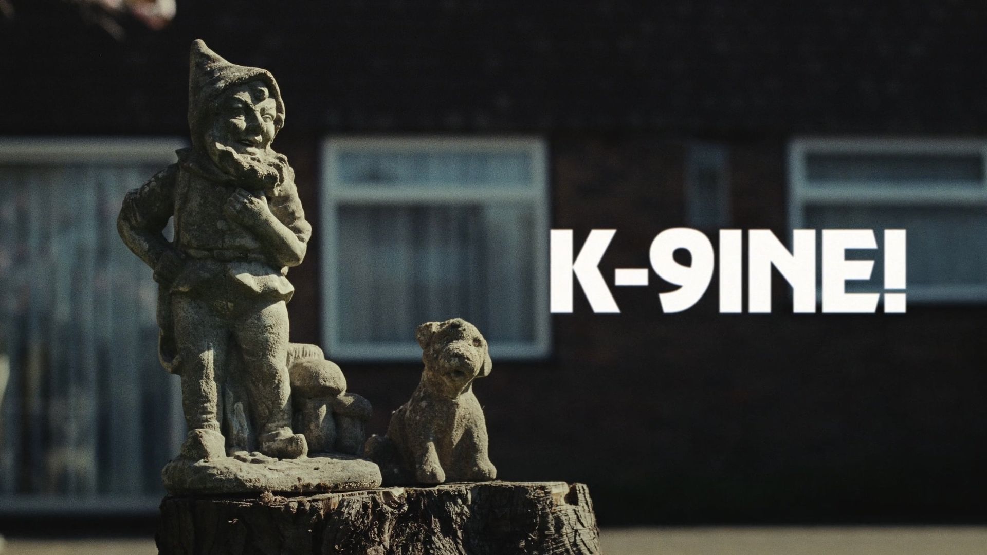 K-9INE! background