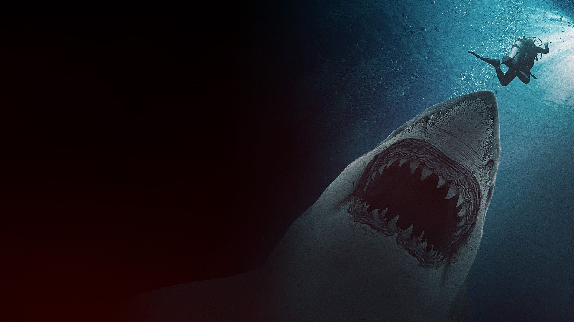 Great White Waters background