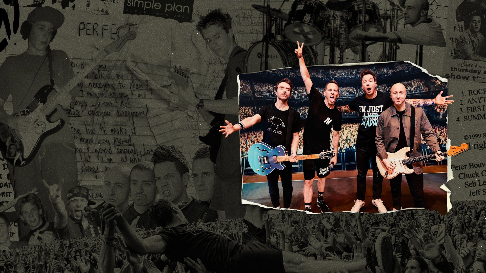 Simple Plan: The Kids in the Crowd background