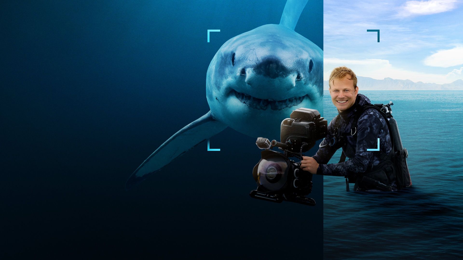 Sharks Up Close with Bertie Gregory background