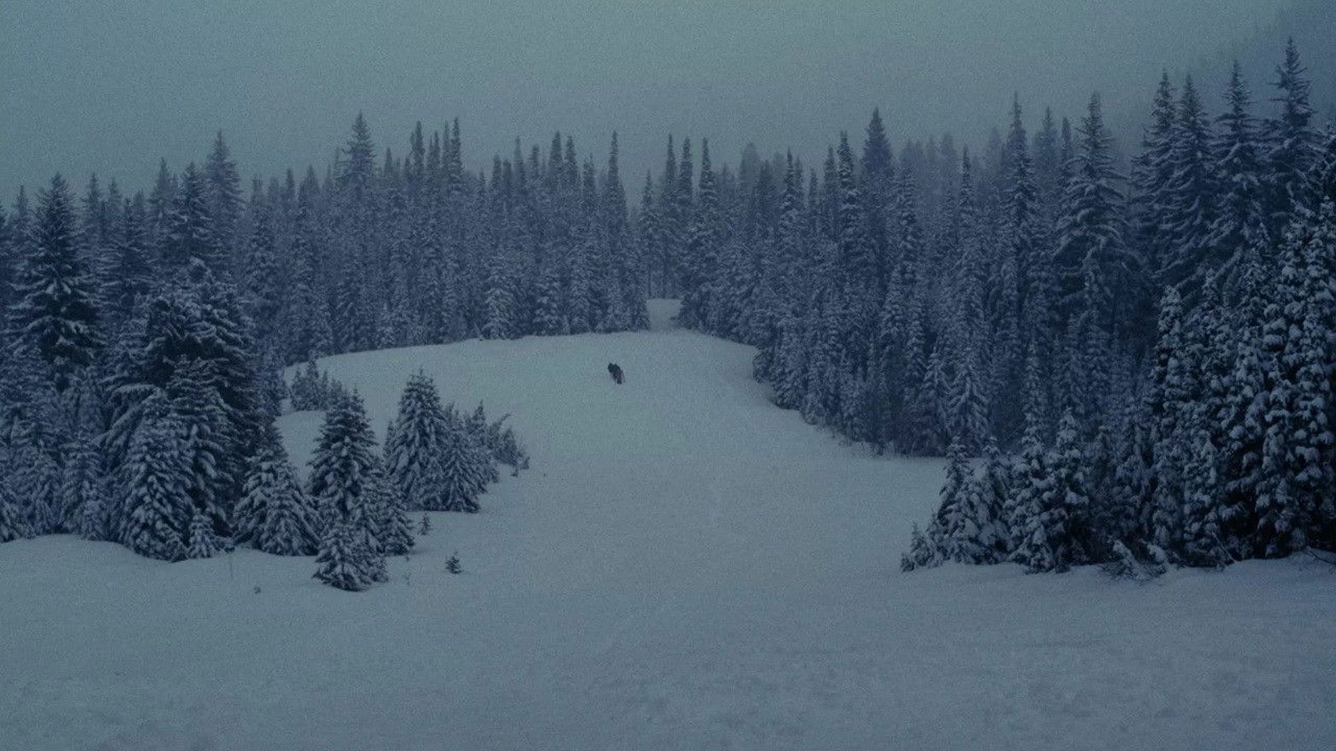 Say Goodbye background