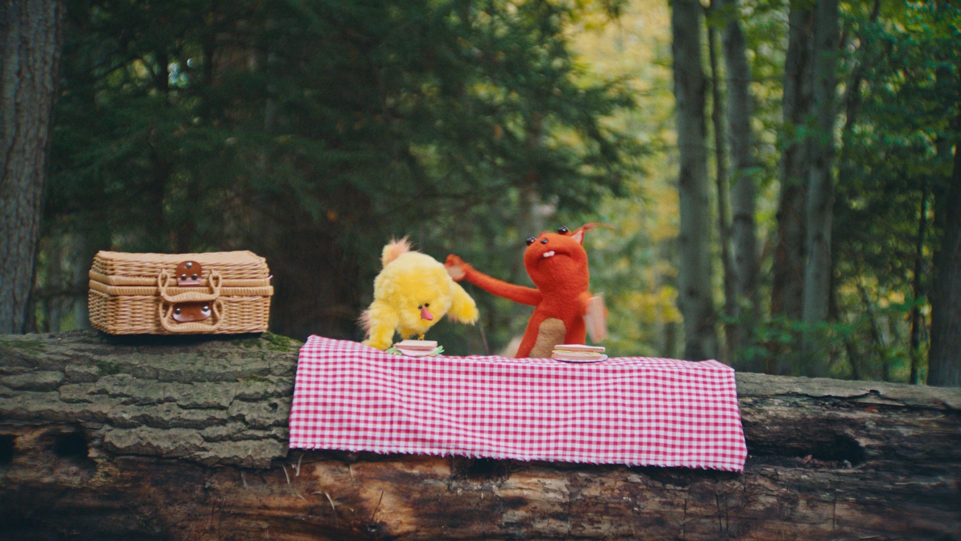 Caring Cabin background