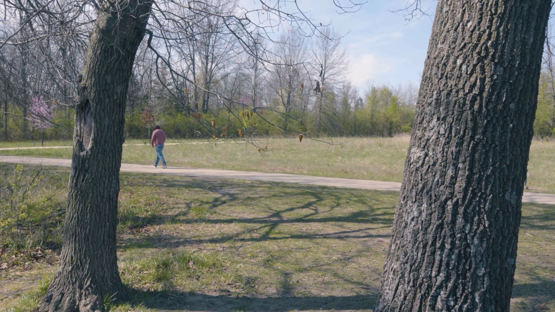 April Fool background