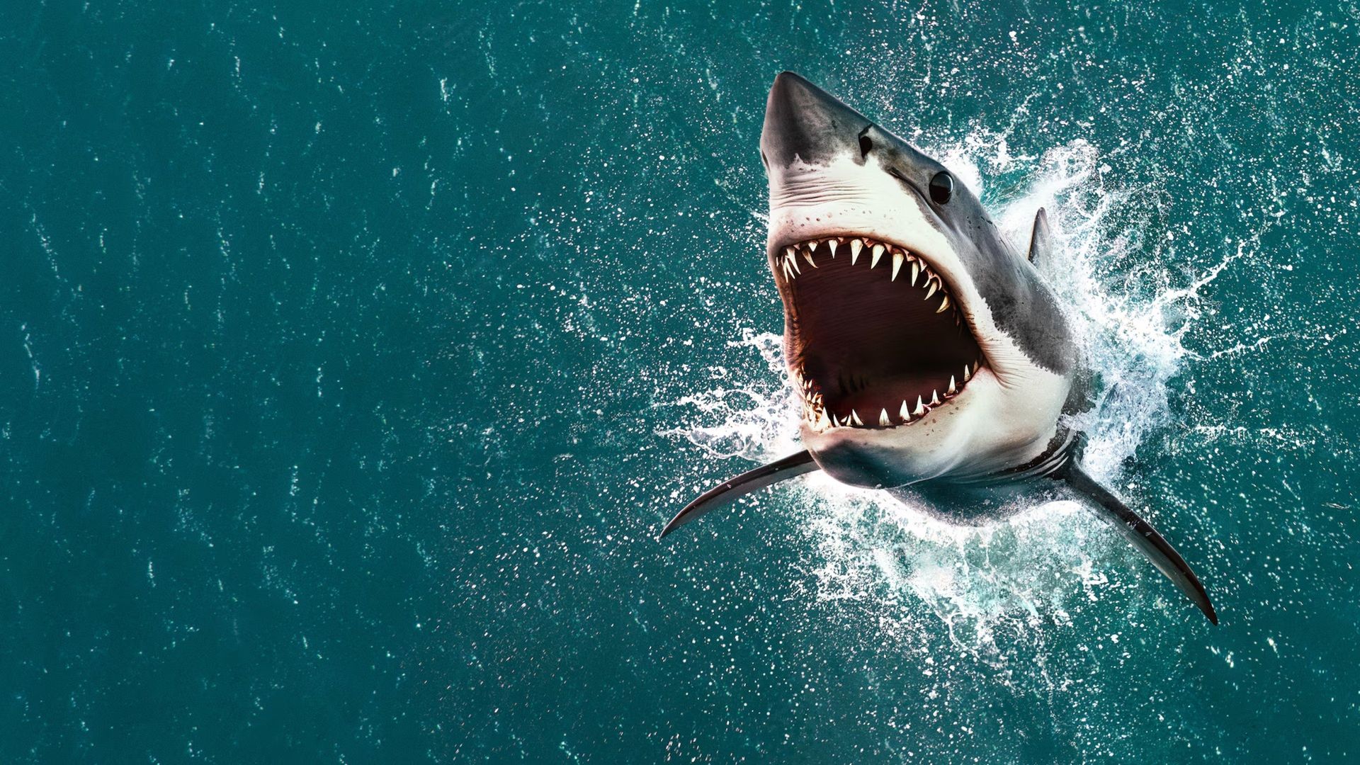 Air Jaws: The Hunt for Colossus background